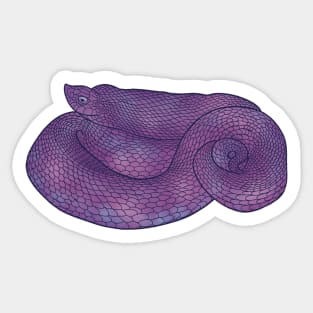 Purple Hognose Snake Sticker